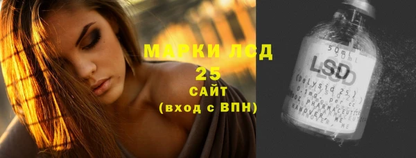 mdpv Инсар