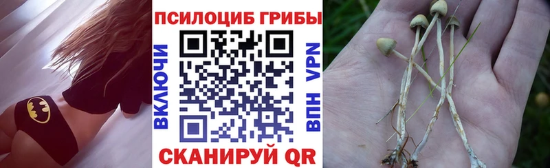 Псилоцибиновые грибы ЛСД  hydra как зайти  Менделеевск 