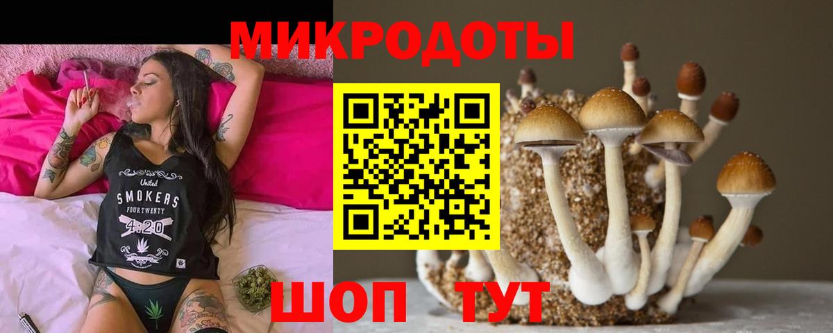 Менделеевск  Галлюциногенные грибы ЛСД  сколько стоит  Вход с VPN 